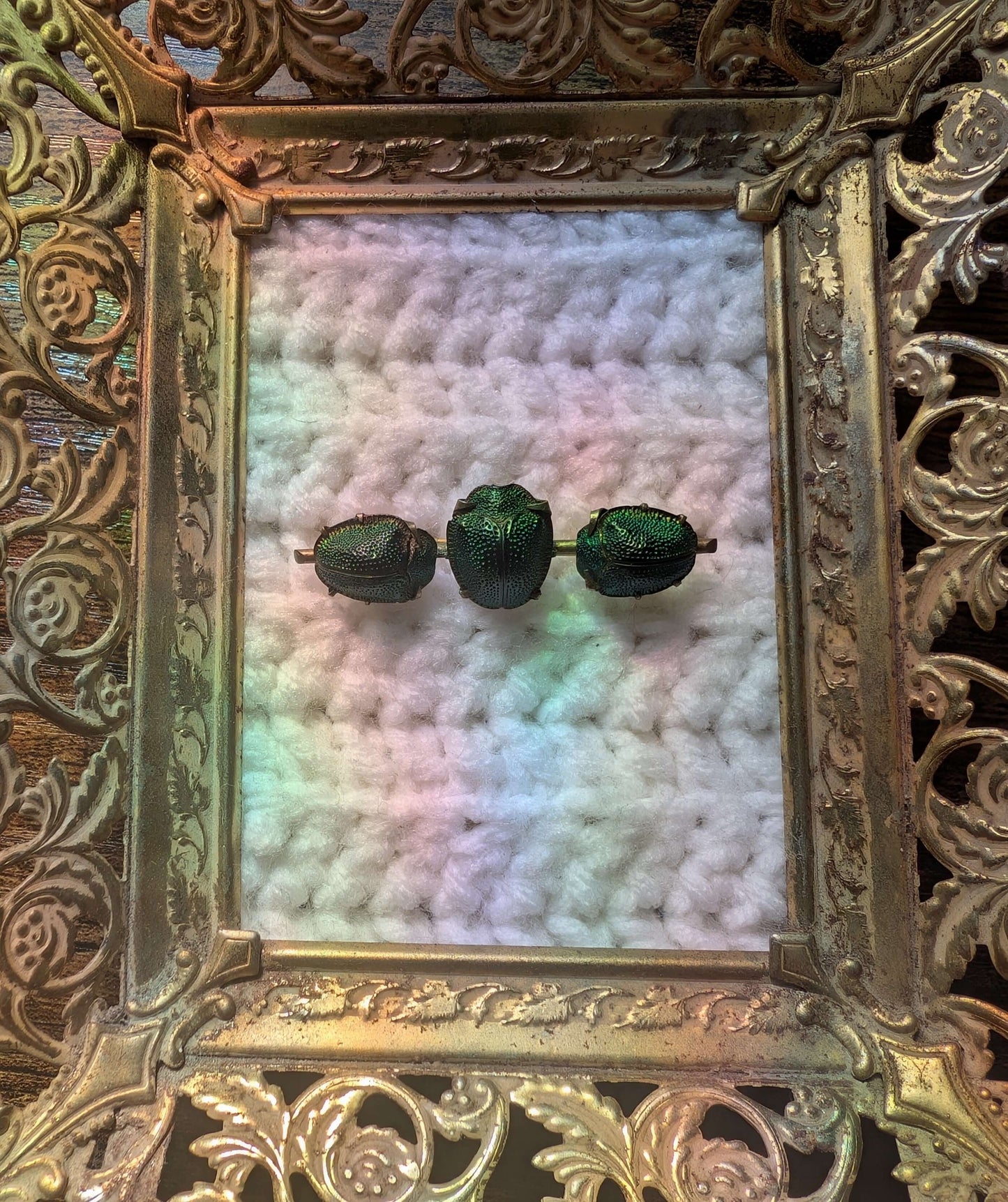 1890s Scarab Turtle Brooch