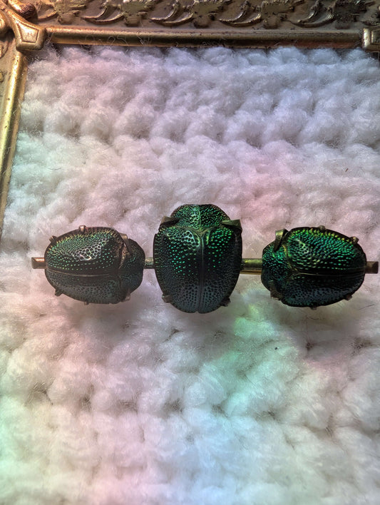 1890s Scarab Turtle Brooch