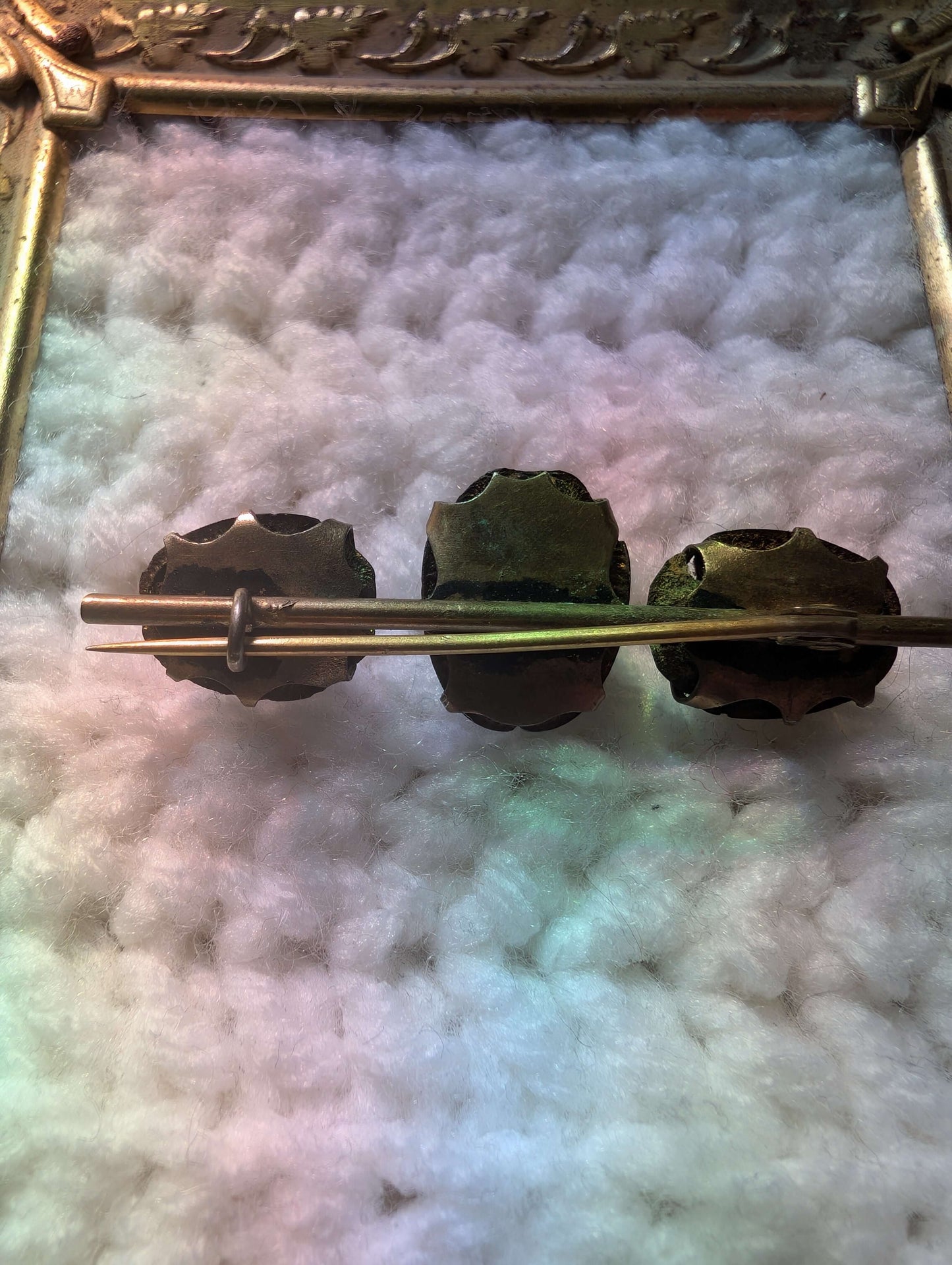 1890s Scarab Turtle Brooch